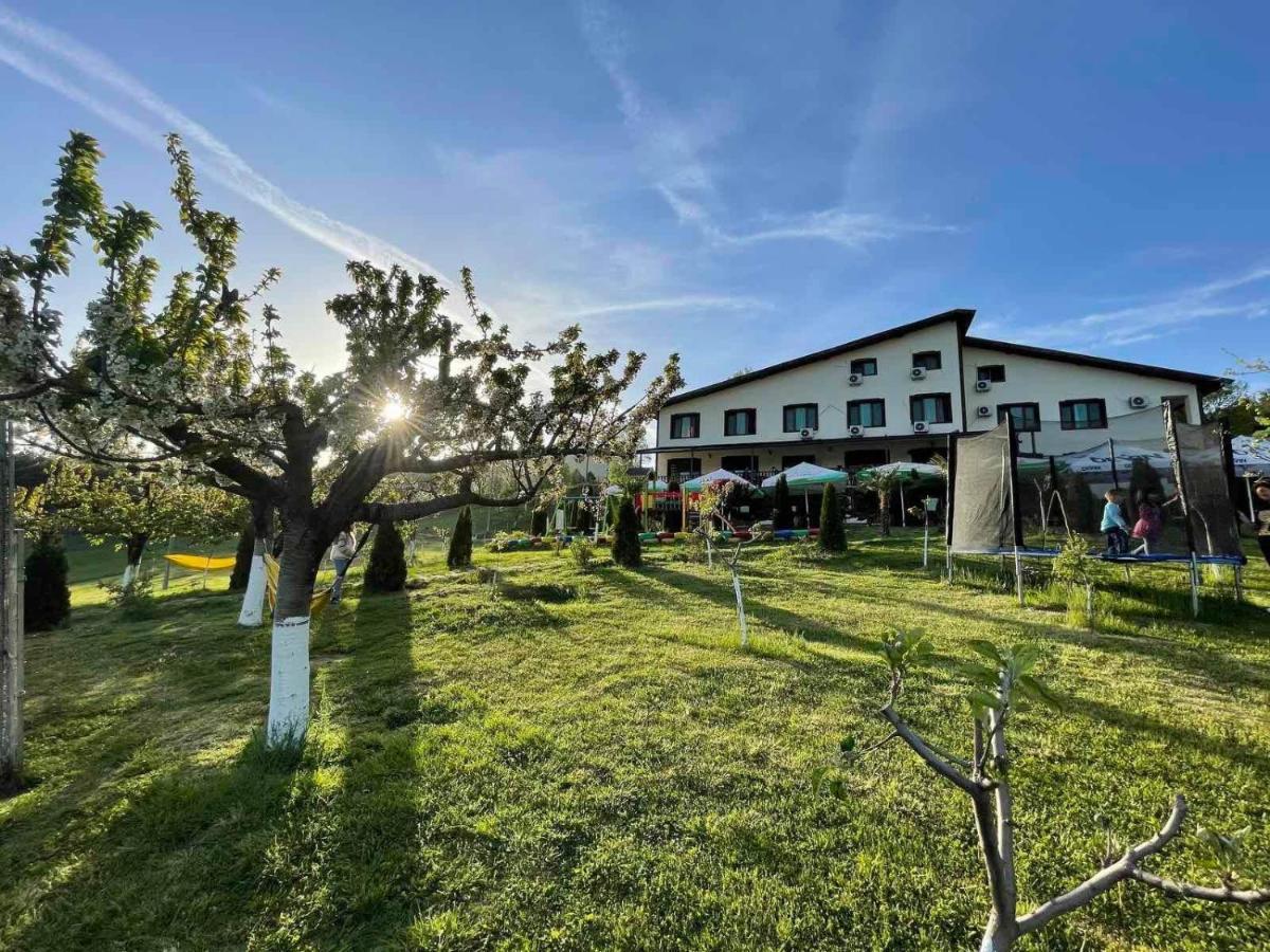Hotel Family Borovitsa