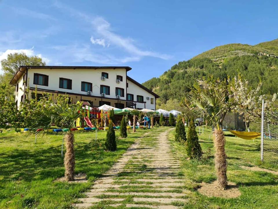 Family Borovitsa Pŭdartsi