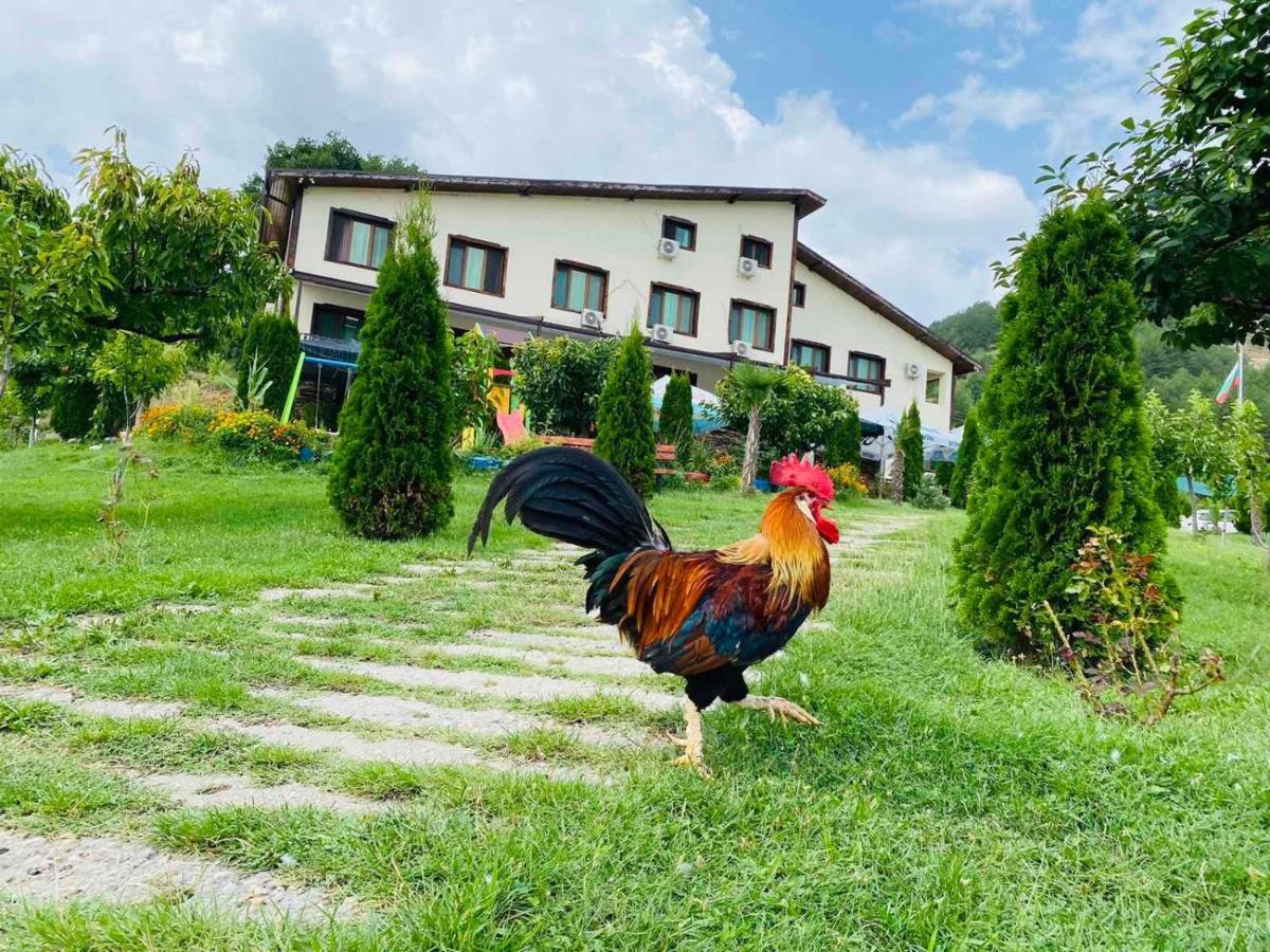 Family Borovitsa Hotel Pŭdartsi